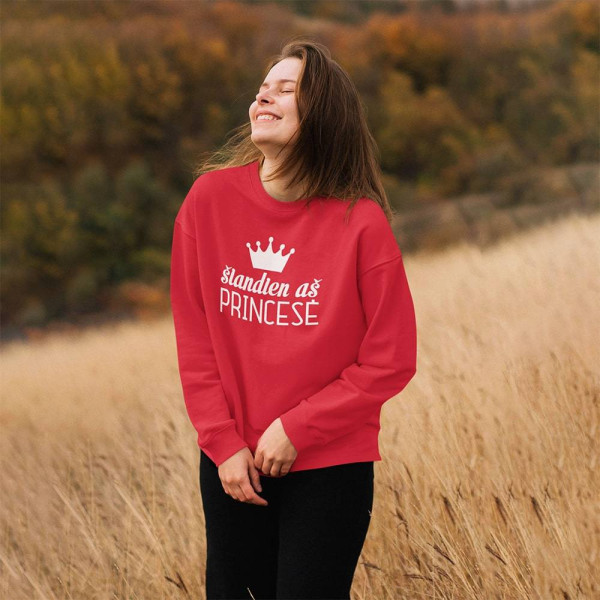 Džemperis "Šiandien aš princesė" (be kapišono)