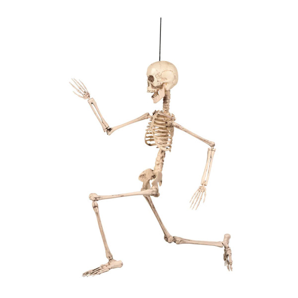 Dekoracija "Skeletas" (50cm) Dekoracija "Skeletas" (50cm)