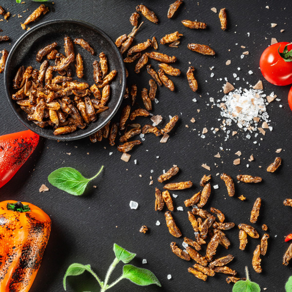 Traškūs skrudinti svirpliai "Salty Caramel"