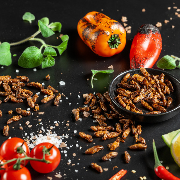 Traškūs skrudinti svirpliai "Salty Caramel"