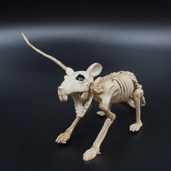 Helovino statulėlė "Žiurkės skeletas"