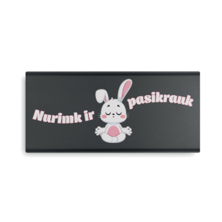 Išorinė baterija "Pasikrauk" (10000 mAh)