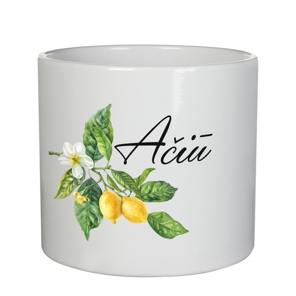 Keramikinis vazonas "Ačiū"