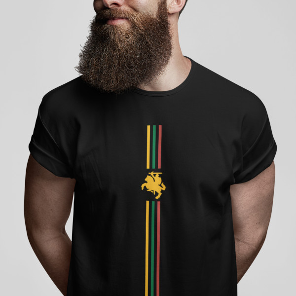 Marškinėliai "Lietuvos trispalvė ir vytis"