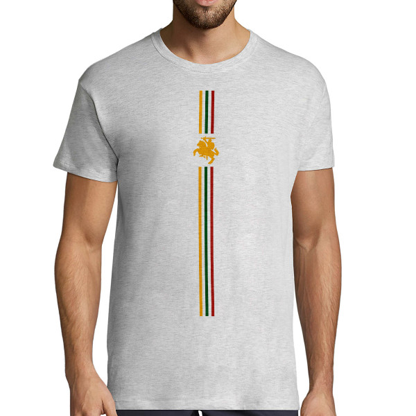 Marškinėliai "Lietuvos trispalvė ir vytis"