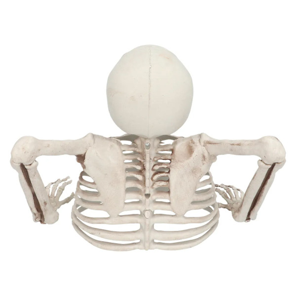 Dekoracija „Skeletas iš kapo“, 20 cm
