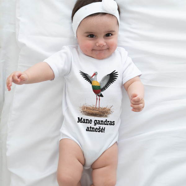 Smėlinukas "Mane gandras atnešė"